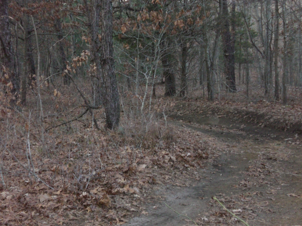 CIMG0077.JPG